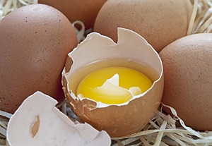 계란, 노른자 색깔 짙으면 항산화성분 '풍부' 의미 < 소비자 < 유통/소비자 < 기사본문 - E프레시뉴스